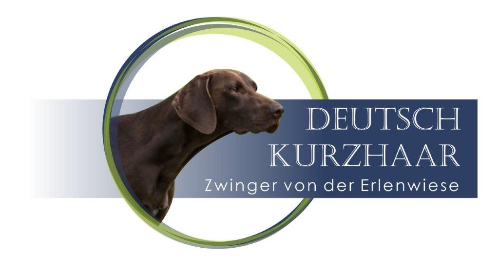 German shorthair kennel von der Erlenwiese